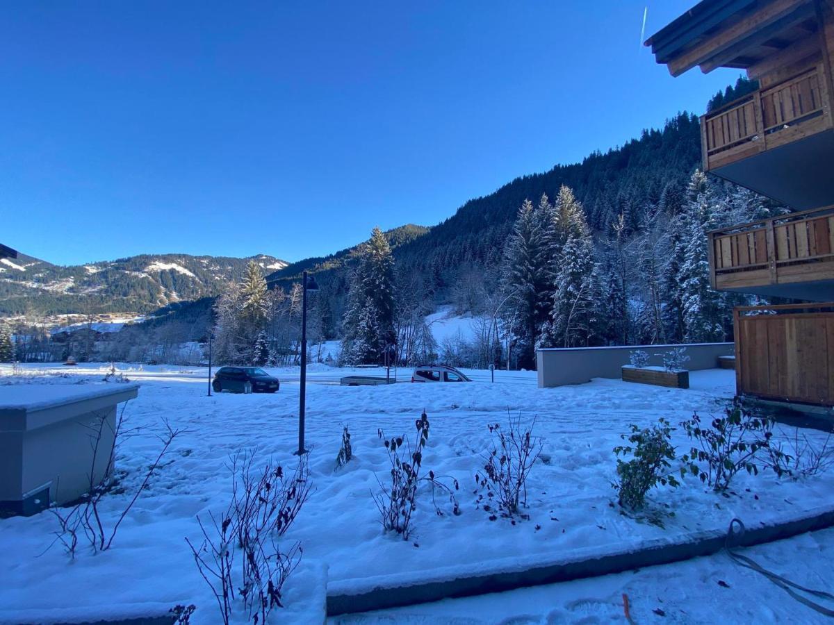 Lumineux Et Spacieux Appartement Contemporain Dans Une Residence Recente Et Paisible A Chatel - Fr-1-693-48 Exterior photo